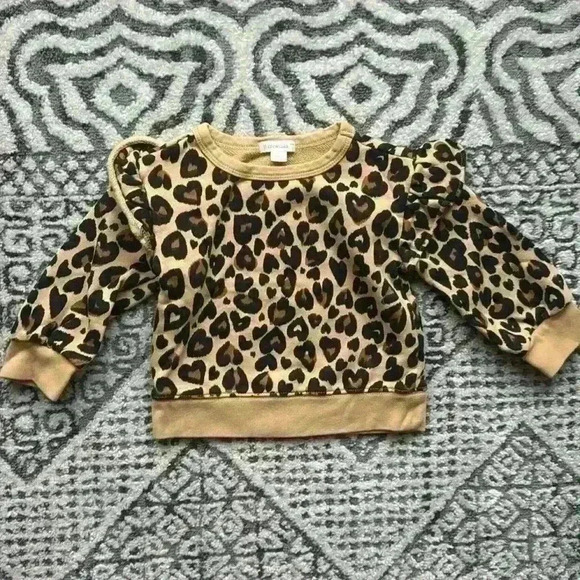 Crewcuts Other - Crewcuts leopard sweater size 2T